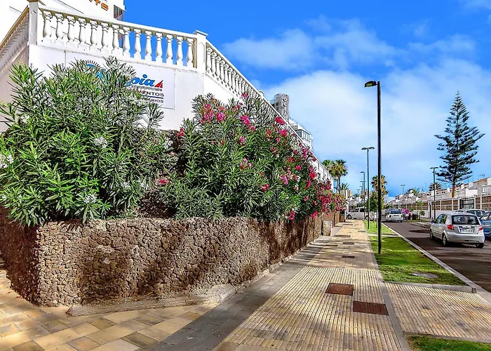 Apartment Tenerifeopenhome Olympia 225 Costa Adeje (Tenerife)