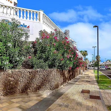 Apartamento Tenerifeopenhome Olympia 225 Costa Adeje (Tenerife)