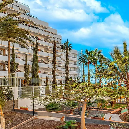 Tenerifeopenhome Olympia 225 Costa Adeje (Tenerife)