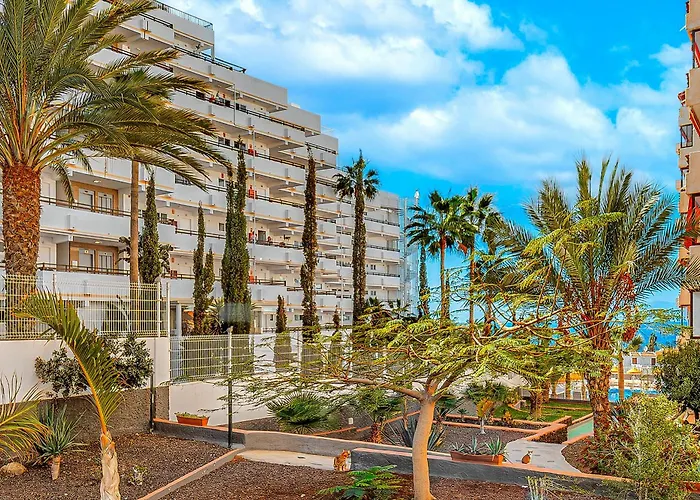 Tenerifeopenhome Olympia 225 Адехе